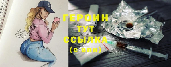 ПСИЛОЦИБИНОВЫЕ ГРИБЫ Новозыбков