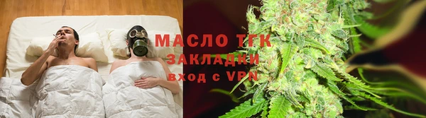 ПСИЛОЦИБИНОВЫЕ ГРИБЫ Новозыбков