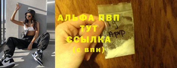 ПСИЛОЦИБИНОВЫЕ ГРИБЫ Новозыбков