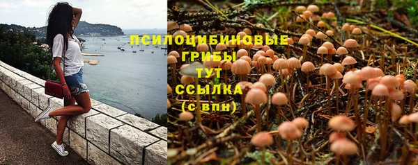 гидра Вуктыл