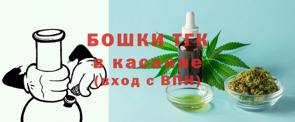 ПСИЛОЦИБИНОВЫЕ ГРИБЫ Новозыбков