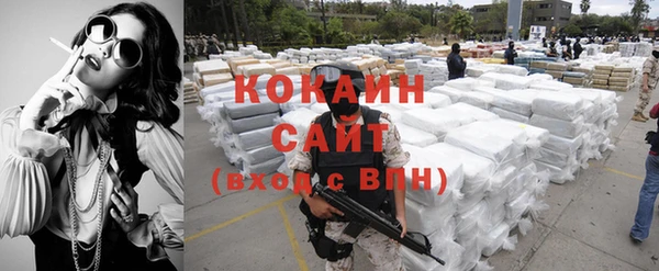 ПСИЛОЦИБИНОВЫЕ ГРИБЫ Новозыбков