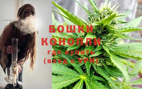 гашик Новокубанск