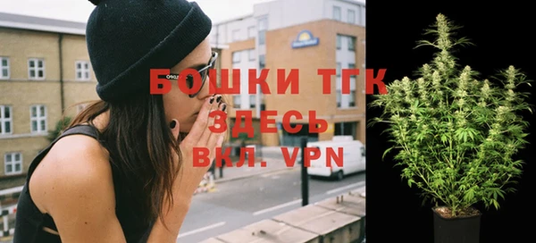 ПСИЛОЦИБИНОВЫЕ ГРИБЫ Новозыбков