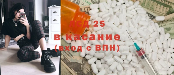 гашик Новокубанск