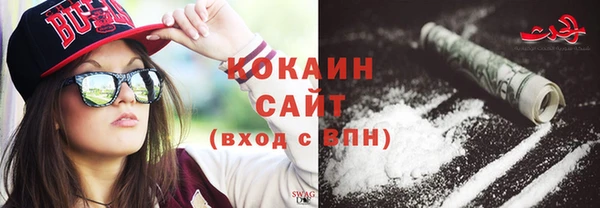ПСИЛОЦИБИНОВЫЕ ГРИБЫ Новозыбков