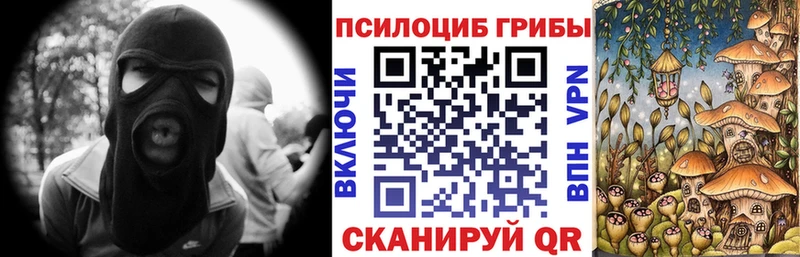 блэк спрут вход  Ртищево  Галлюциногенные грибы Psilocybine cubensis 